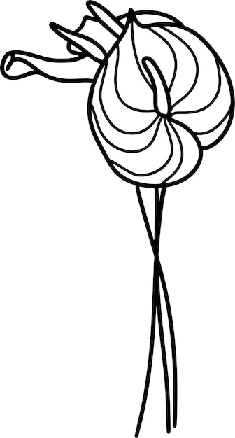 un dibujo de una flor con una flor en ella