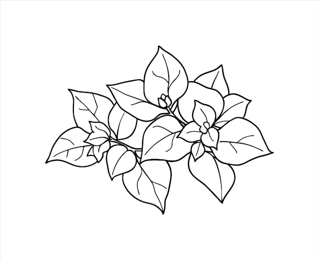 un dibujo de una flor con una flor en ella