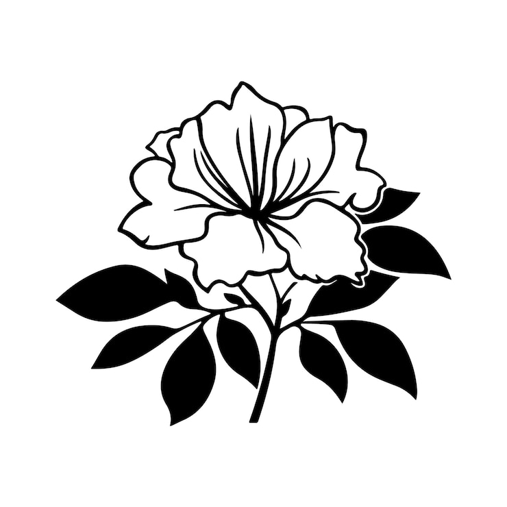 Vector un dibujo de una flor con un fondo blanco