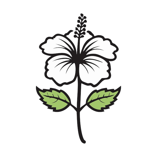 un dibujo de una flor de hibisco con hojas
