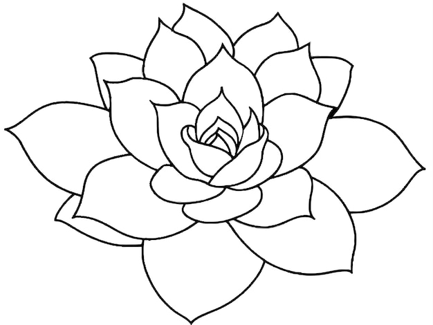 un dibujo de una flor con una línea que dice "flor"