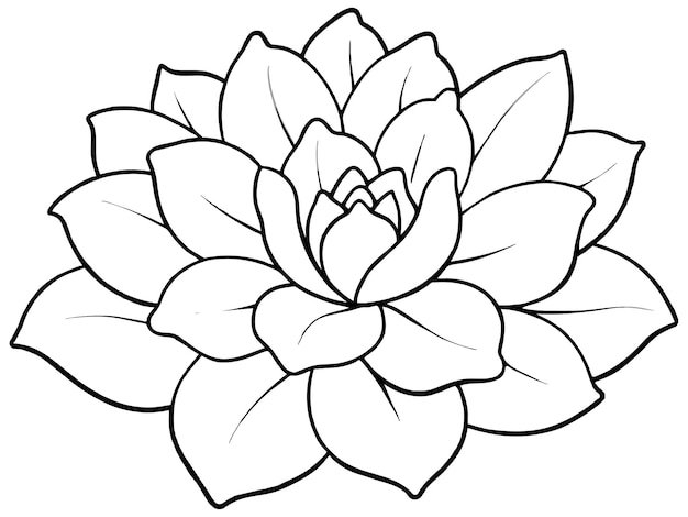 un dibujo de una flor de loto con un contorno negro