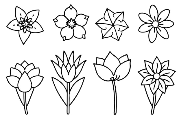 un dibujo de una flor de loto con la palabra loto en ella