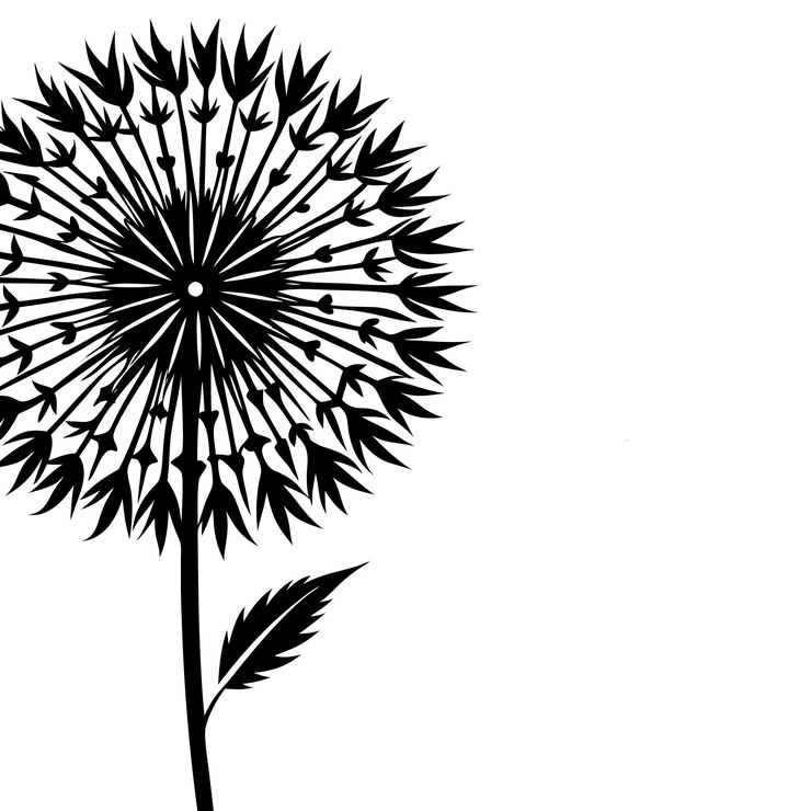 Vector un dibujo de una flor con la palabra " dandelion " en ella