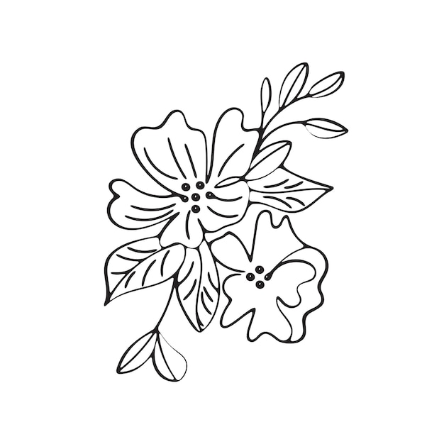 un dibujo de una flor con la palabra hibisco en él