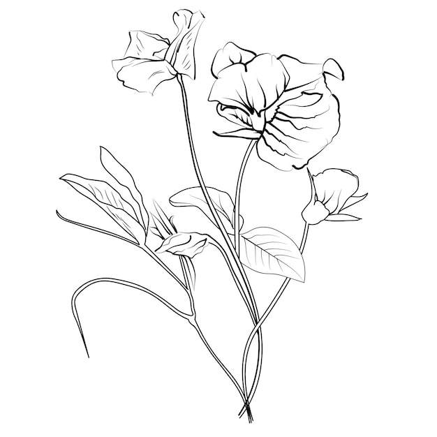 un dibujo de una flor con la palabra lirio en ella