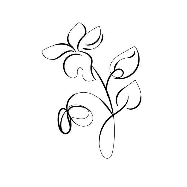 un dibujo de una flor con la palabra primavera en él