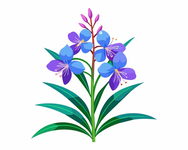 Vector un dibujo de una flor con la palabra " primavera " en ella