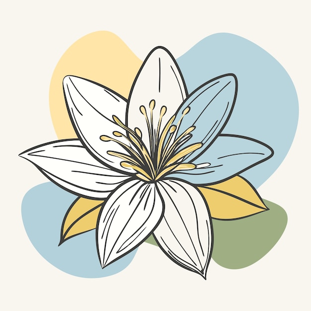 un dibujo de una flor con la palabra " primavera " en ella