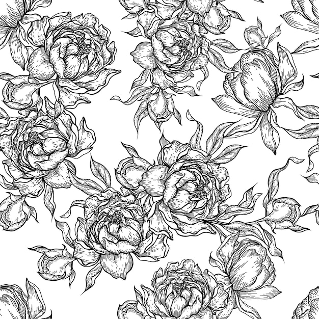 Dibujo de la flor de la peonía con patrón sin costuras grabado a mano por vector