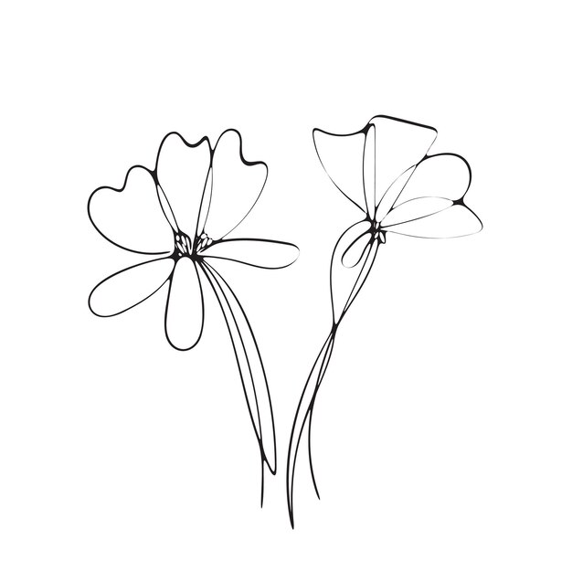 un dibujo de una flor que dice margarita en él