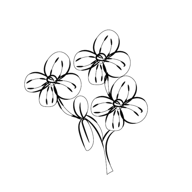 un dibujo de una flor que tiene la palabra diente de león en él