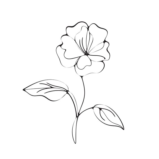 un dibujo de una flor que tiene la palabra peonía en él