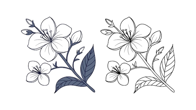 Dibujo floral de una rama con flores y hojas