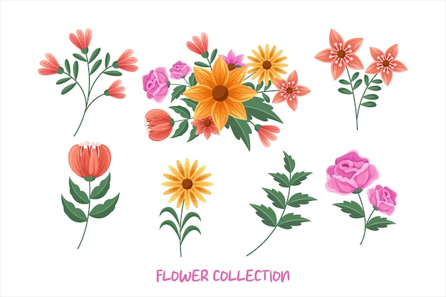 un dibujo de flores de la colección por flor