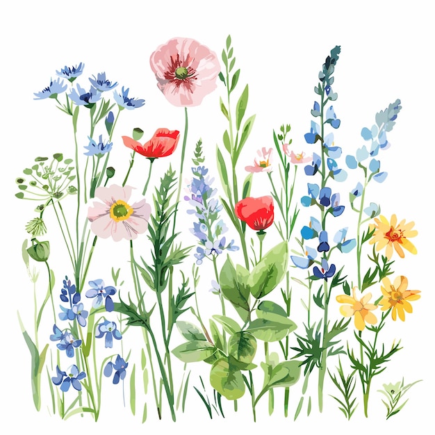 Vector un dibujo de flores y hierba con las palabras primavera