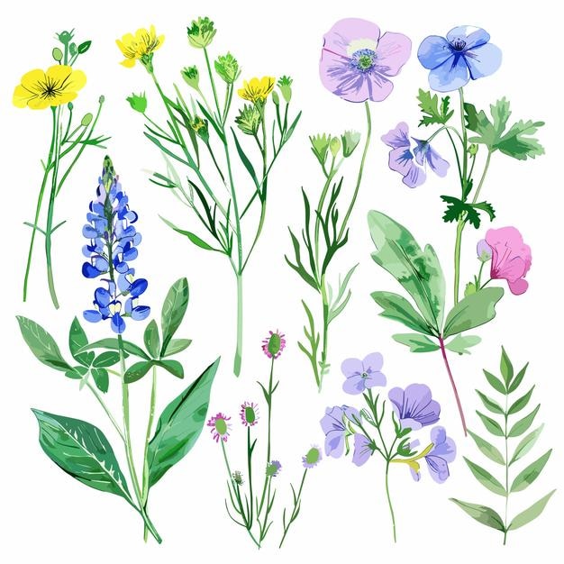 un dibujo de flores y hierba con las palabras primavera