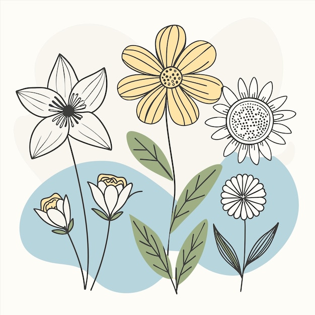 un dibujo de flores con la palabra margarita en él