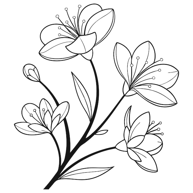 un dibujo de flores con la palabra primavera en él