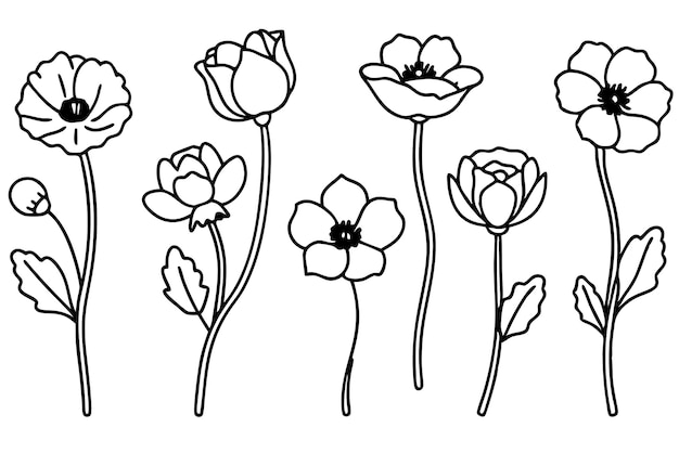 un dibujo de flores con la palabra tulipanes en ellos