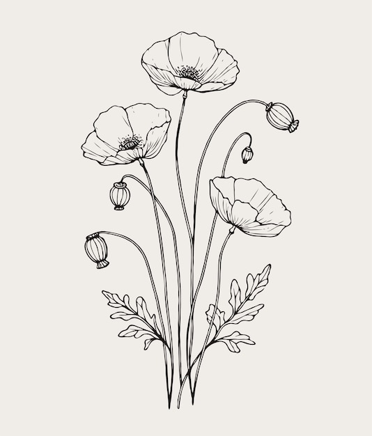 un dibujo de flores con las palabras " margaritas " en él