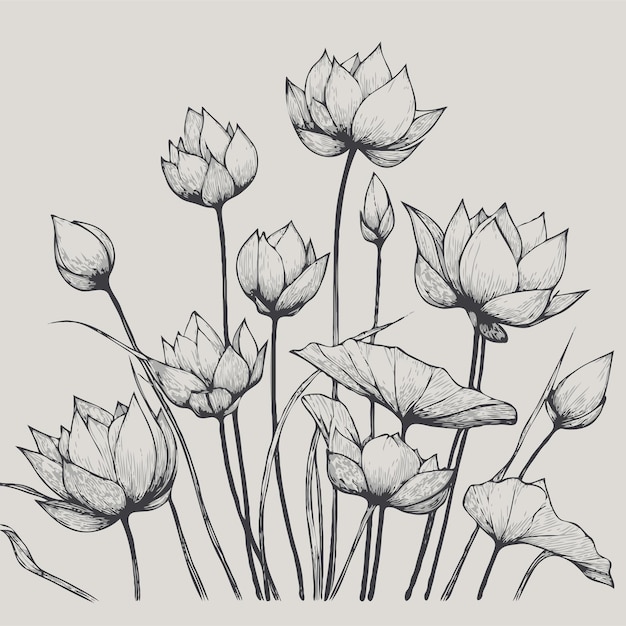 un dibujo de flores con las palabras "tulipes" citadas en él