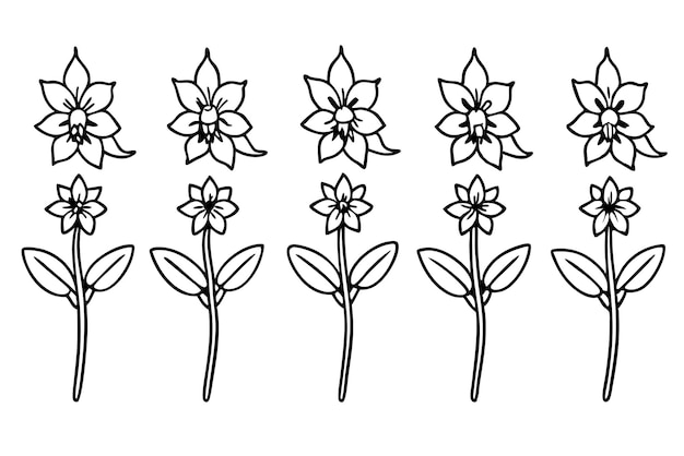 un dibujo de flores que dice "loto" en él