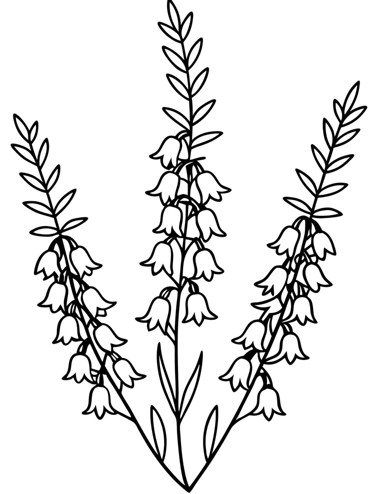 Vector un dibujo de flores que dicen cer