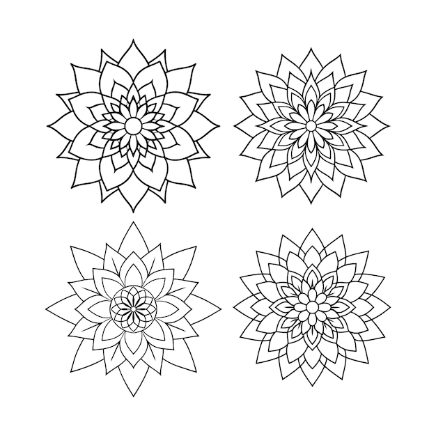 un dibujo de flores que están dibujadas sobre un fondo blanco