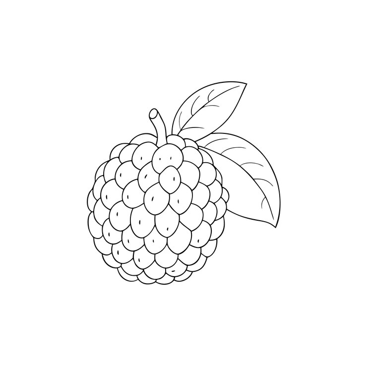 Vector un dibujo de una frambuesa con una hoja en ella