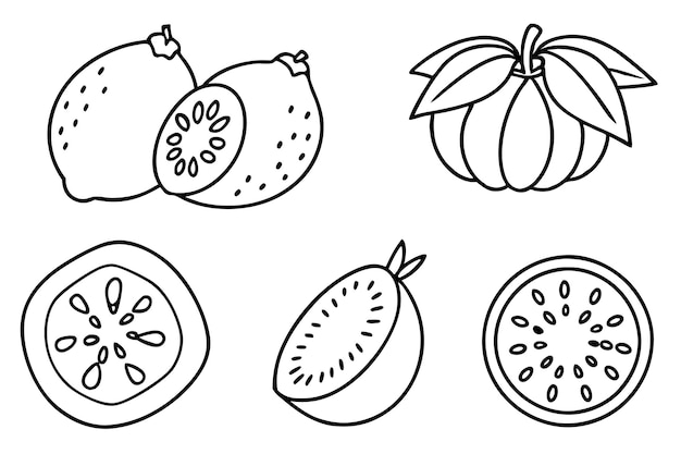 un dibujo de una fruta con una hoja y una hoja en ella