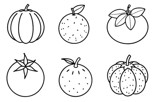 un dibujo de una fruta con una línea que dice fruta