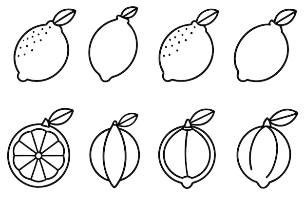 un dibujo de fruta con una línea que dice kiwi en él