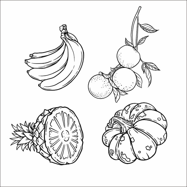 Vector dibujo de frutas 177