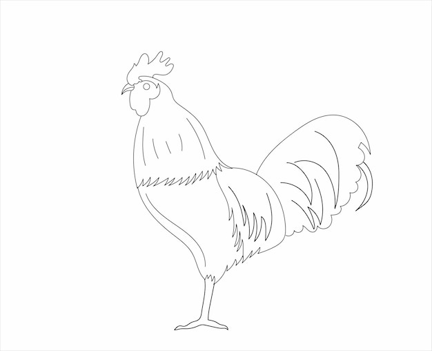 Un dibujo de un gallo con un fondo blanco.