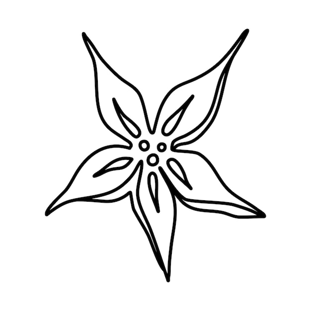 Dibujo de garabato vectorial de flor de cinco pétalos