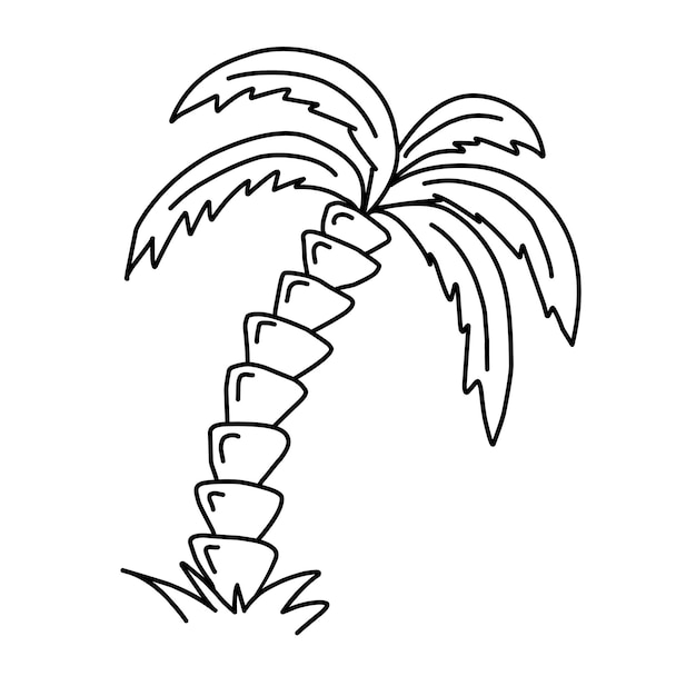 Dibujo de garabatos de una palma de coco el concepto de una palma de coco decorativa para la impresión de carteles de decoración de paredes y la campaña de turismo de viajes ilustración de diseño vectorial moderno
