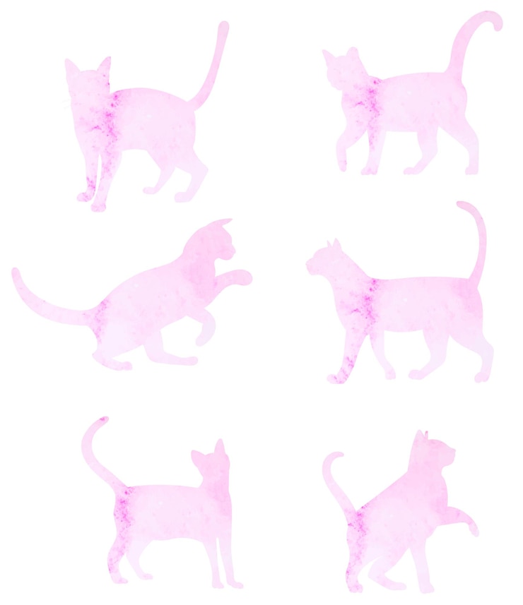 Vector dibujo de gato sentado por una línea continua, aislada