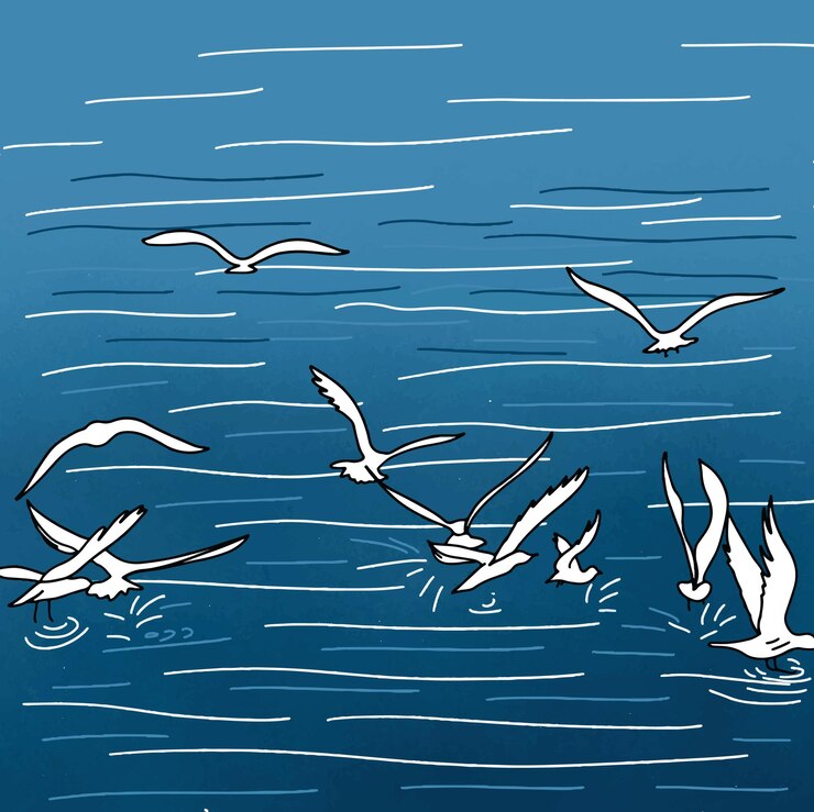 dibujo de gaviotas en el mar