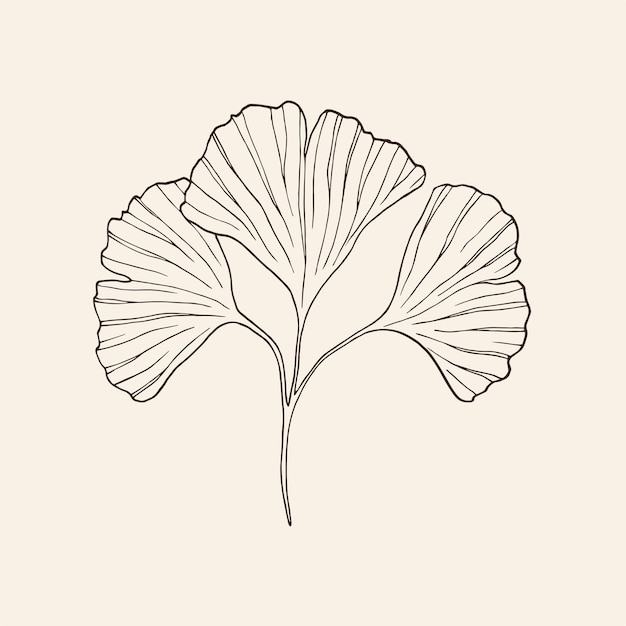 Dibujo de gingko de arte lineal