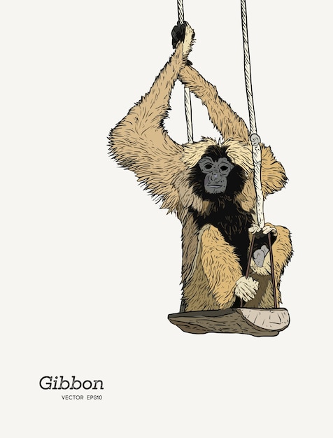 Dibujo gráfico del bosquejo del mono de Gibbon.