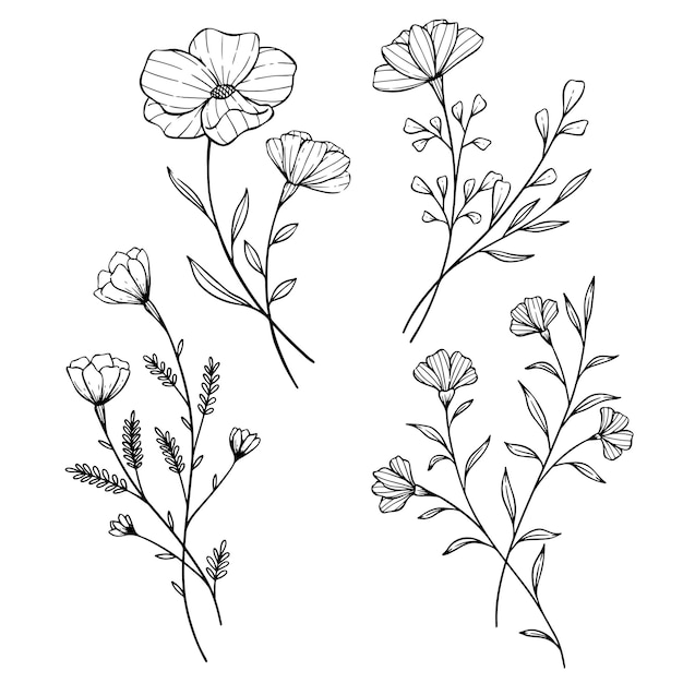 Dibujo gráfico de flores minimalistas Plantas florecientes y ramas con hojas