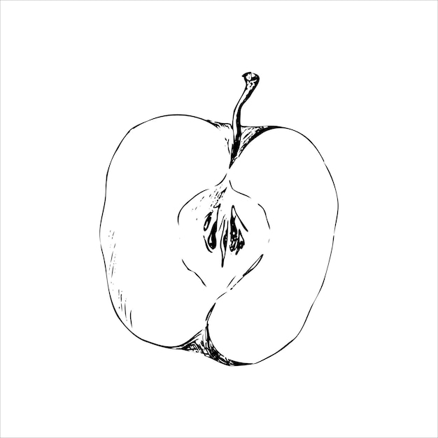 Dibujo gráfico de manzana
