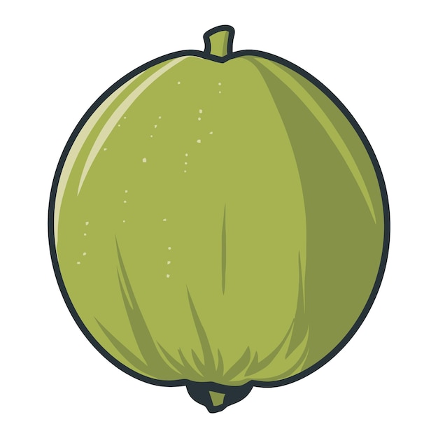 Dibujo de guayaba Diseño gráfico Ilustración Clipart Eps