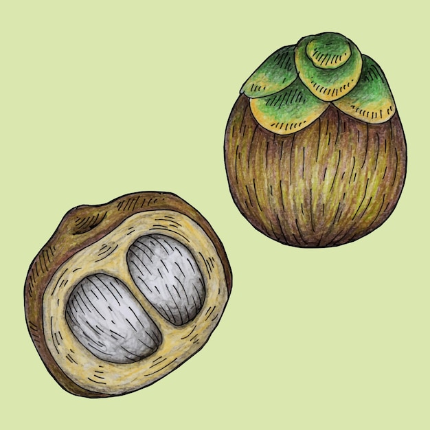 un dibujo de una higuera con un fondo verde