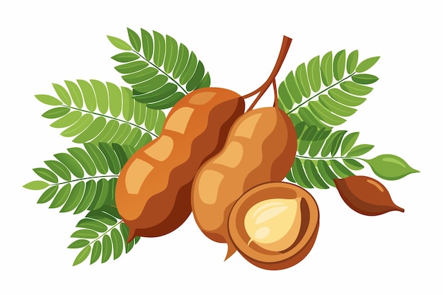 un dibujo de una higuera y una rama de un árbol con hojas y una ramita de coco