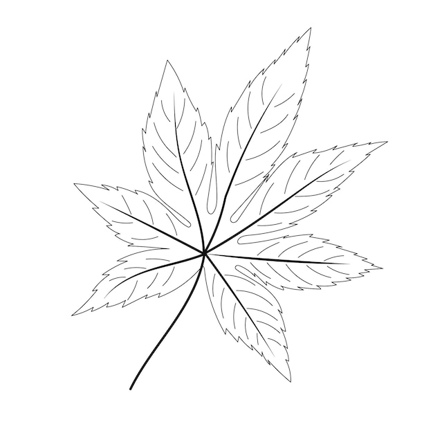 Dibujo de hoja de árbol de garabato sobre fondo blanco