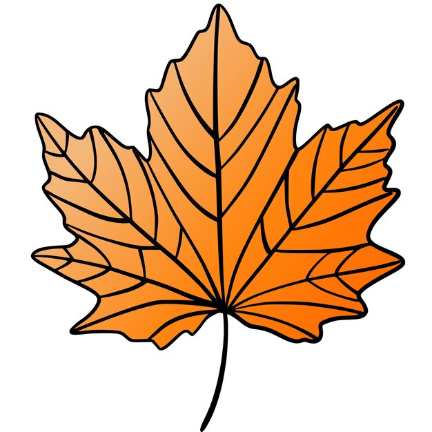 Dibujo de hoja de arce naranja con contornos en negrita ideal para el otoño Ilustración vectorial plana dibujada a mano