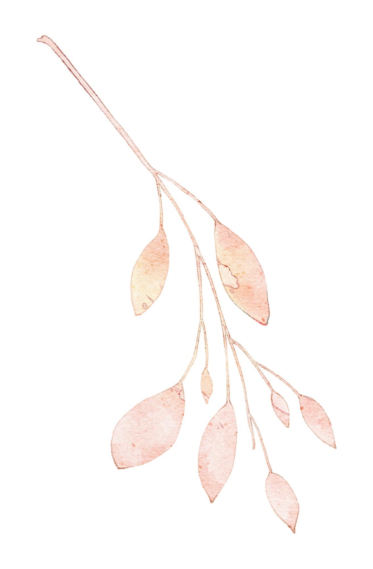 Vector un dibujo de una hoja con un fondo rosa
