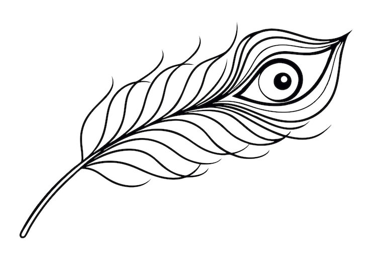 Vector un dibujo de una hoja con un ojo de pájaro dibujado en ella